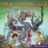 Drachenmeister (23) Der Fluch des Schattendrachen